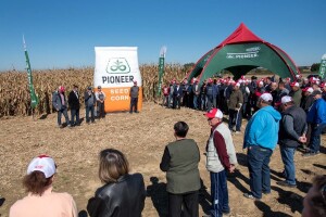 Pioneer hibridi i u teškim uvjetima zadržavaju stabilan prinos i nisku vlagu