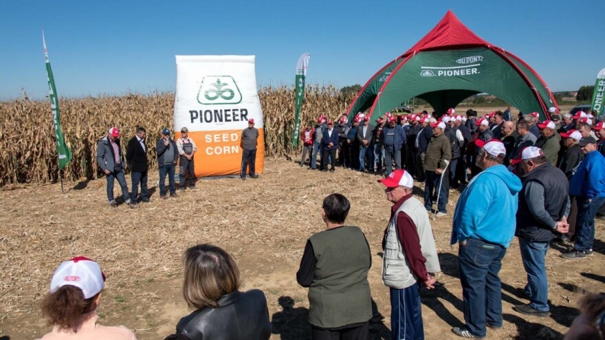 Pioneer hibridi i u teškim uvjetima zadržavaju stabilan prinos i nisku vlagu