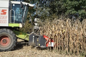 Dan polja RWA kukuruza: Godina sušna, ali prosjek prinosa 13 t/ha