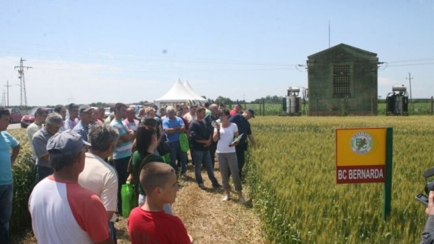 BC sorte prepoznatljive u celoj zemlji