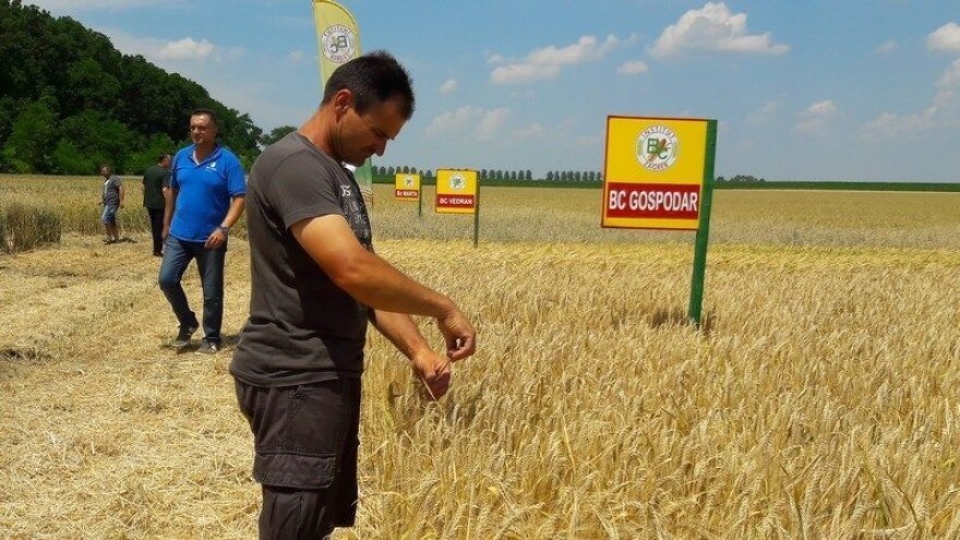 Ivica Ikić: Ne pamtimo da su kombajni ikada u polja ulazili u svibnju, neke površine ječma već požnjevene