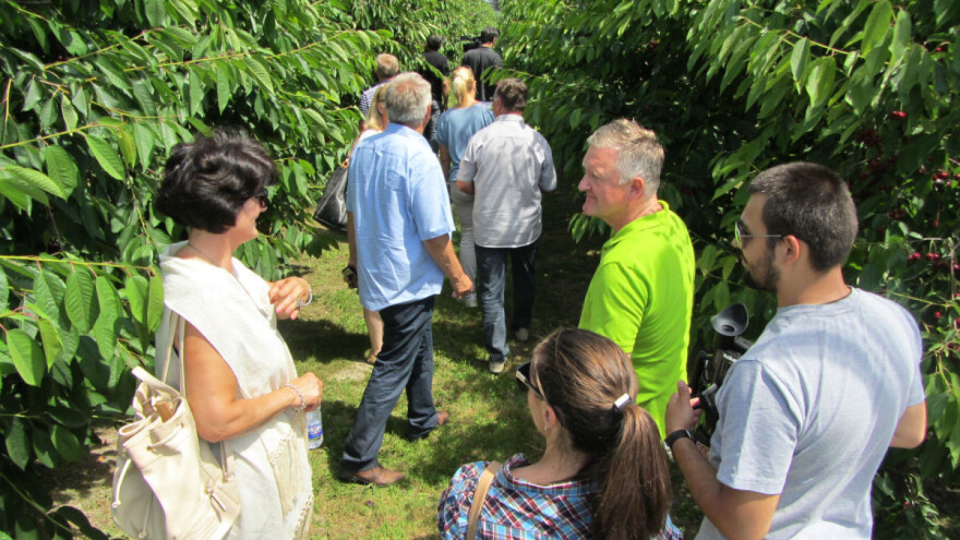 Beograd: Besplatne obuke za organsku proizvodnju, pčelarstvo i voćarstvo od sredine juna