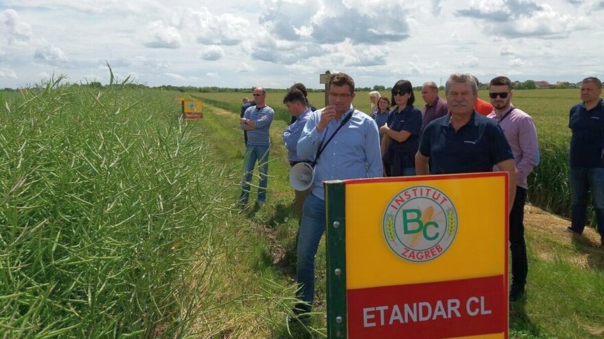 Pandemiji usprkos: Bc Institut rušio rekorde i ostvario odlične poslovne rezultate