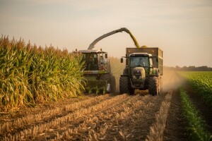 Dan polja uz siliranje krmnog sirka i kukuruza