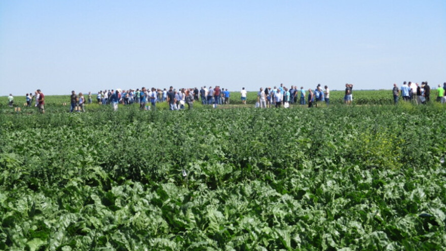 Opšta ocena svih useva - mnogo lošije nego lane