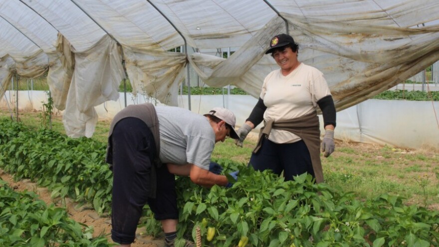 Županijski Dan povrća u Koprivnici