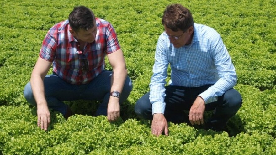 Kristalka uvjerljiva vladarica HR tržišta!