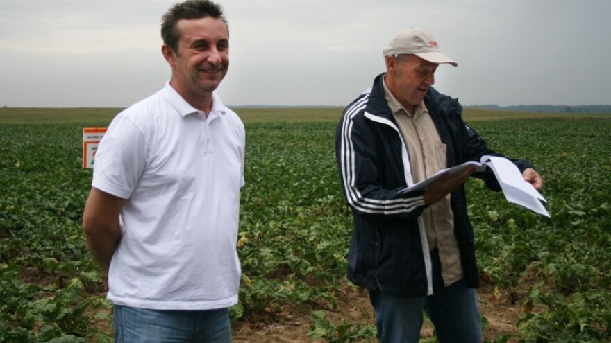 Godina će za proizvođače repe biti slatka!