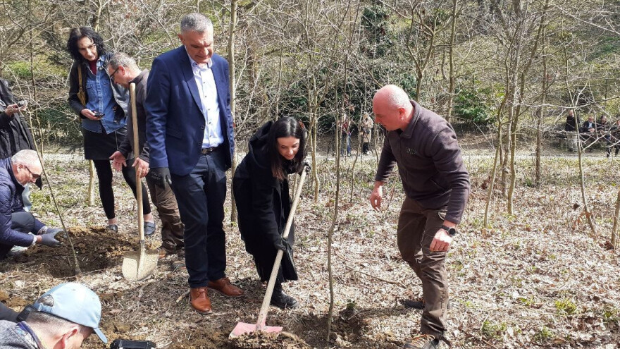 U očuvanje šuma uložit će se gotovo 82 milijuna eura