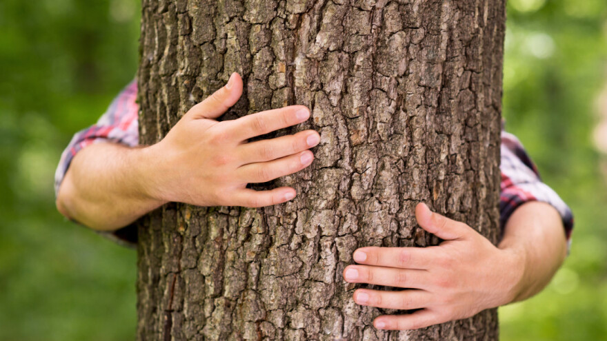 U ZDK će pošumljavati, ali i prijavljivati neodgovorne građane