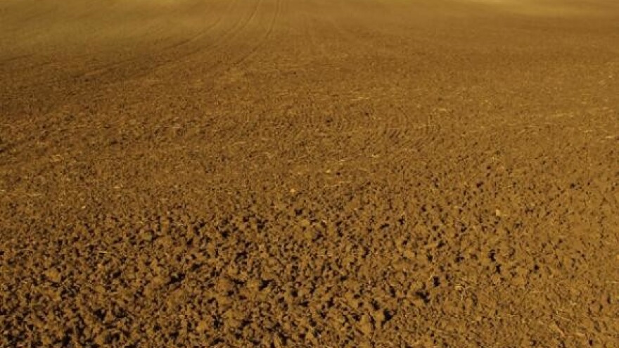 Centralni dan polja uređenja tla i kalcizacije