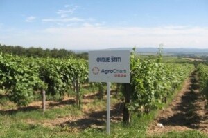 Dani polja Agrochem MAKS-a