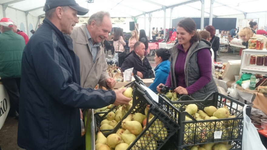 Imamo bogomdane uvjete za voće, povucimo EU novac