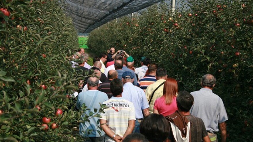 Za voćare će mijenjati natječaje ruralnog razvoja