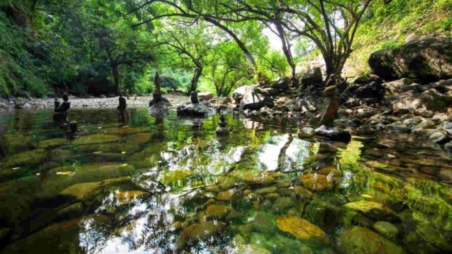 Kako se obeležava Dan zaštite prirode?