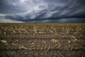 Današnja poljoprivreda vodi nestašici hrane?