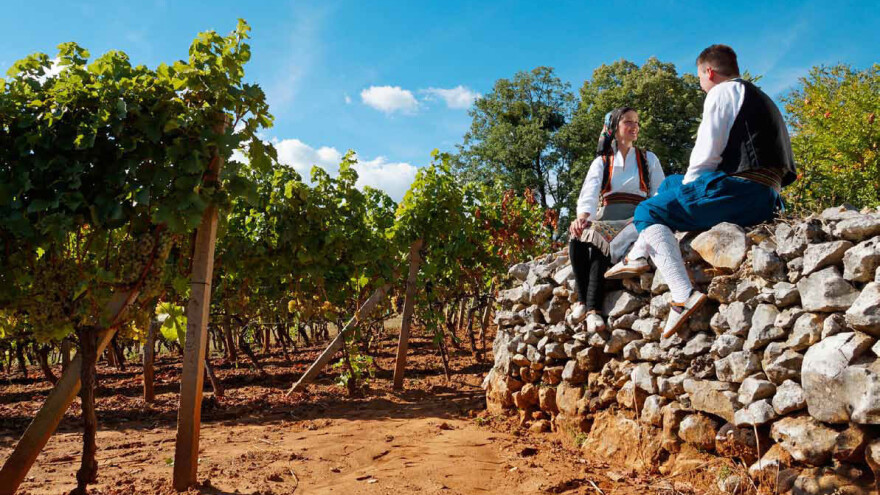 Hercegovački vinari zadovoljno trljaju ruke - iza njih je rekordna sezona