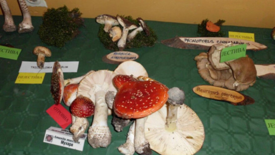 Posetite praznik bilja i gljiva u Krepoljinu