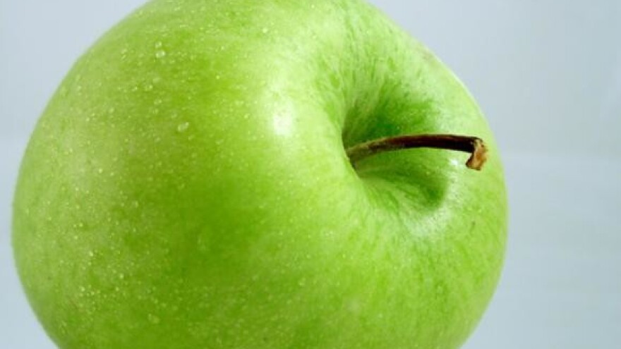 Dani jabuka - Požega 2009