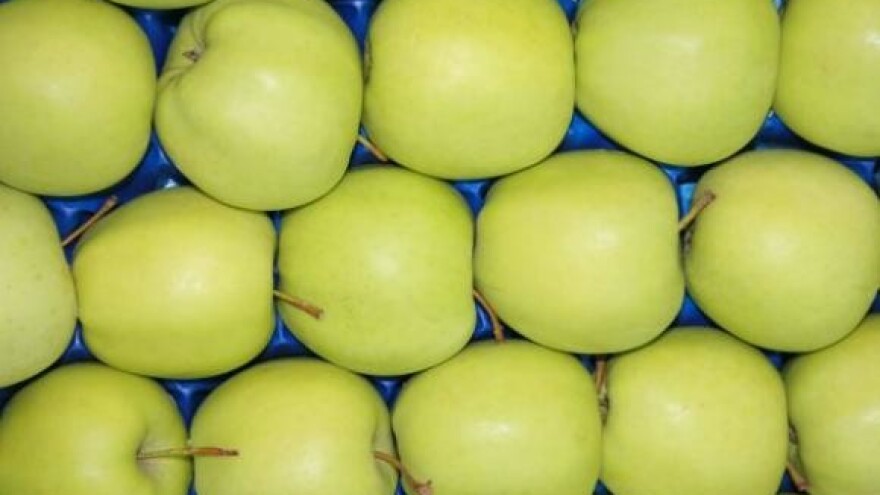 Dani jabuka - Požega 2008