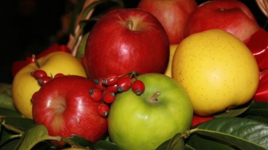 Otvoreni Dani jabuka u Požegi