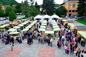 Posjetite Dane maline u Novom Travniku!