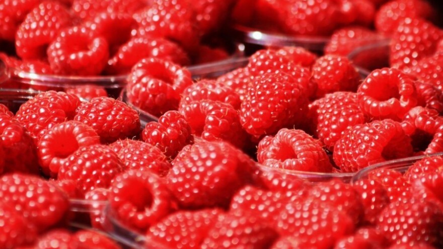 Dani maline - promocija ruralnog razvoja