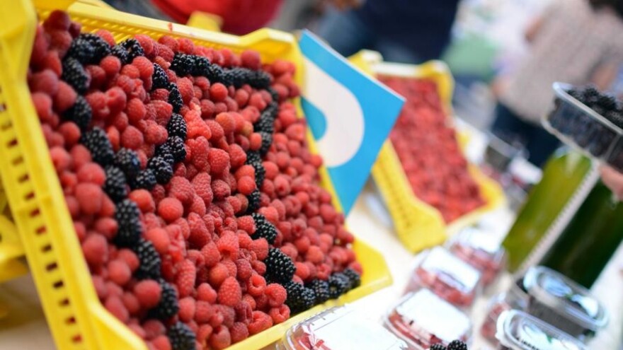 Prijavite se za sudjelovanje na sajmu Dani maline i meda Žepče 2018