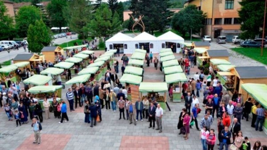 Posjetite Dane maline u Novom Travniku!