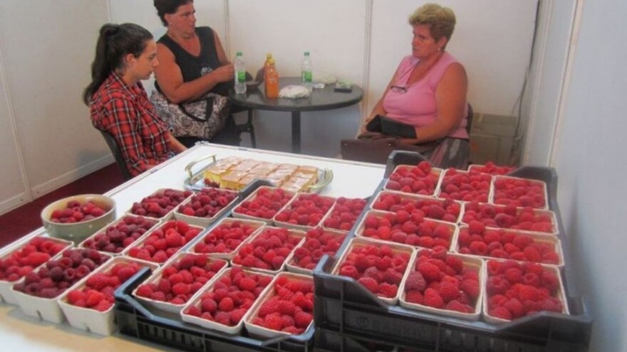 Dani maline i meda u Žepču