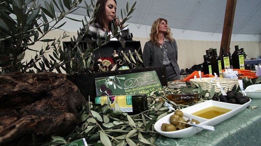 Dani masline u Zadru