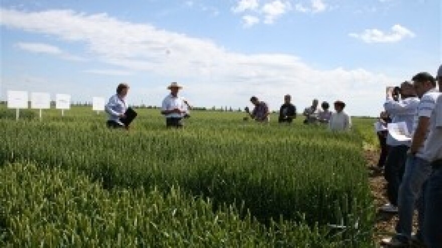 Održana prva radionica u polju - Syngenta