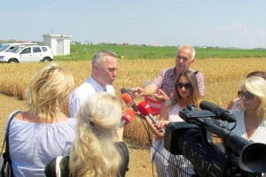 Za podsticaje u RS prijavljeno 19.500 hektara pod pšenicom i 3.100 poljoprivrednih proizvođača
