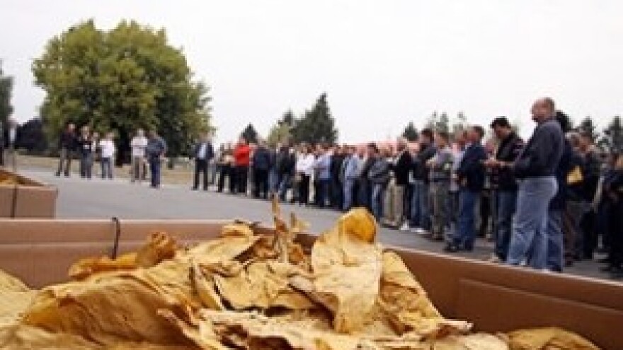 Održani Dani polja duhana