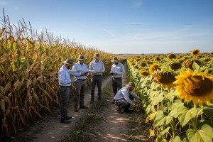 Dani polja Poljoprivrednog instituta Osijek