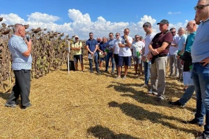 Čepinska uljara Danima polja suncokreta obilježila 80 godina poslovanja