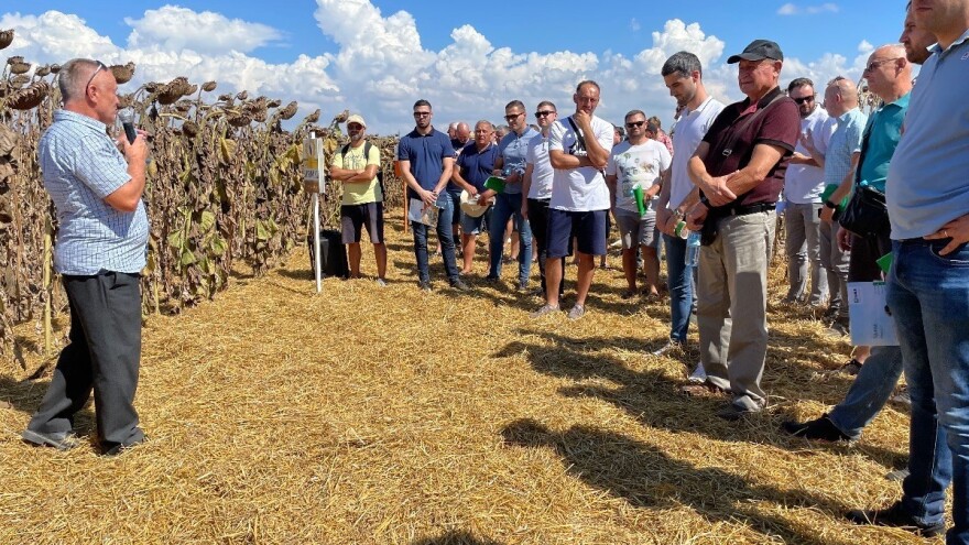 Čepinska uljara Danima polja suncokreta obilježila 80 godina poslovanja