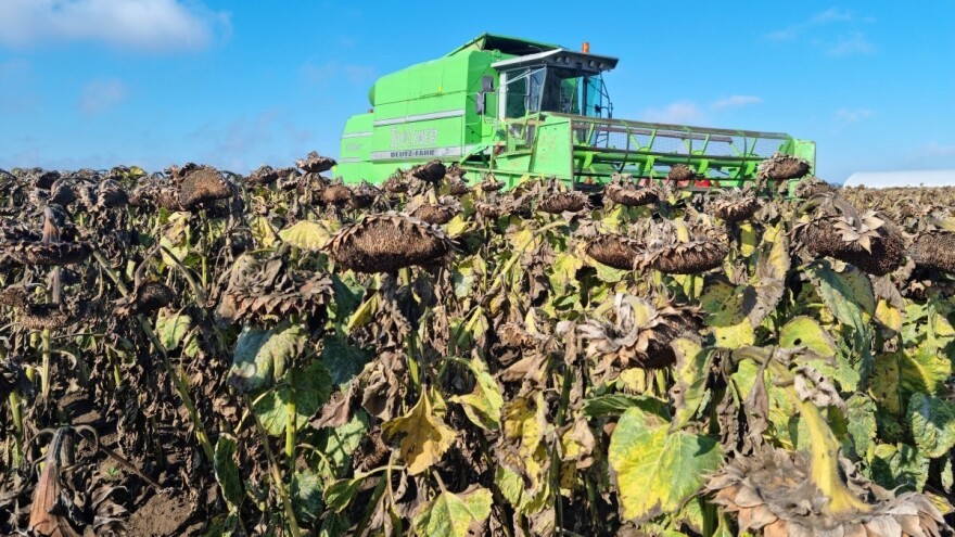 Jesu li visoke cijene ulja i brašna opravdane?