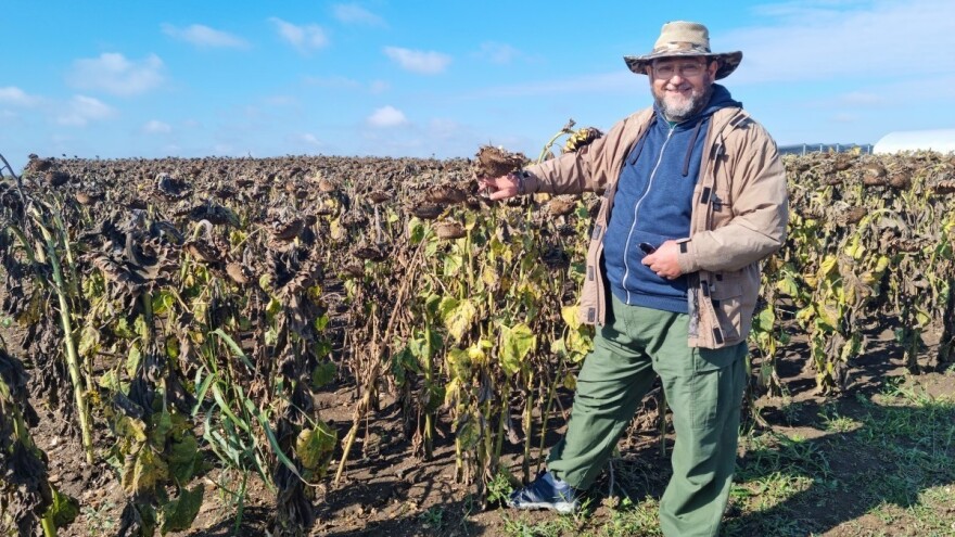 Prof. Stipešević: Tko je ulagao u suncokret, dobro će proći