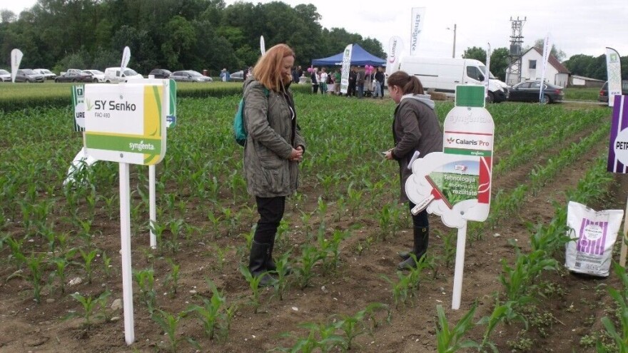 Usjevi jači i od vremenskih uvjeta, nema bojazni za ječam, pšenicu, kukuruz i suncokret