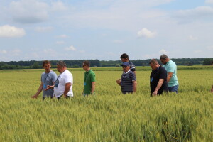 Festival agronomije - Agrifest 2024. održava se prvi puta i to u Ivankovu