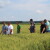 Festival agronomije - Agrifest 2024. održava se prvi puta i to u Ivankovu