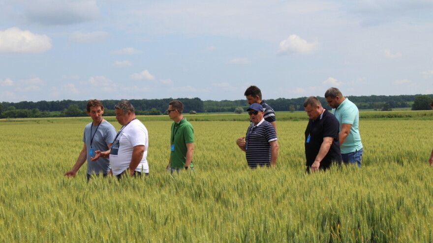 Festival agronomije - Agrifest 2024. održava se prvi puta i to u Ivankovu