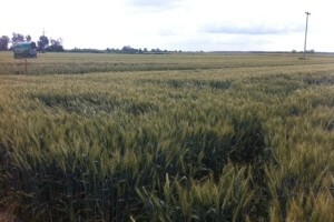 Dow AgroSciences - Dani polja
