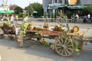 Najbolja je blačka šljiva!