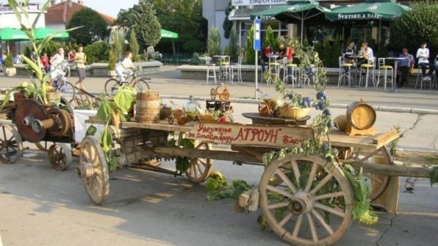 Najbolja je blačka šljiva!