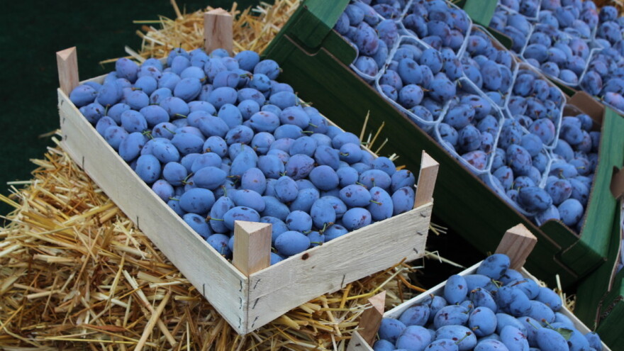 Na Gradačački sajam od 24. do 27.  avgusta stiže 350 izlagača