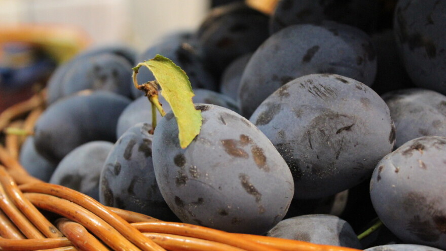 "Šumadijski dani šljive" od 1. do 3. avgusta u selu Stragari