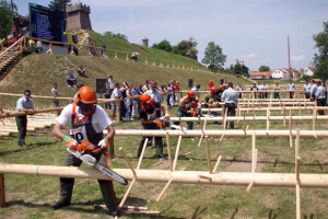 Dani hrvatskog šumarstva u Našicama