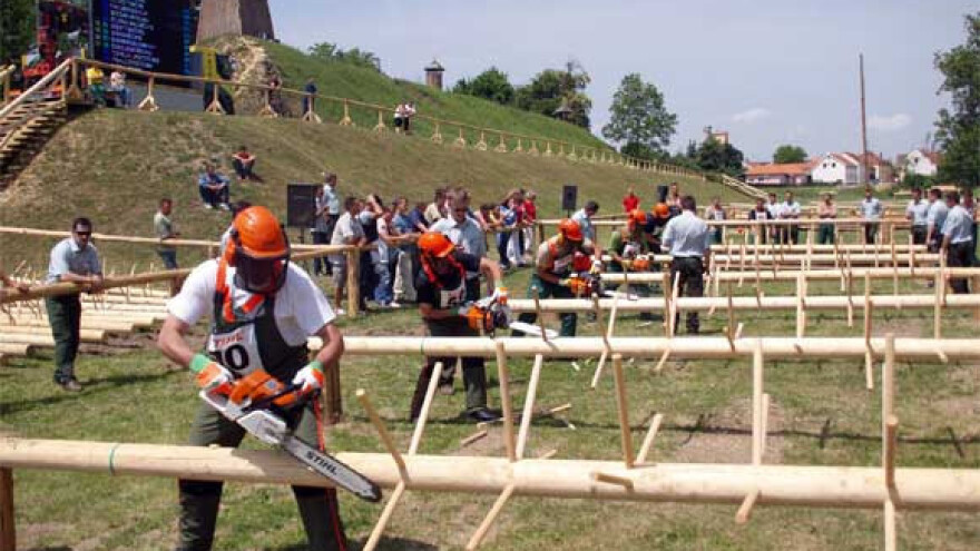 Dani hrvatskog šumarstva u Našicama